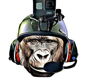 PPG GORILLA