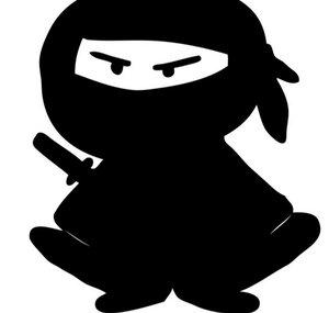 rsg shadowninja