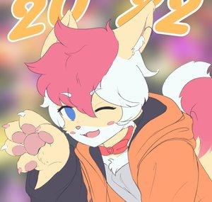 tails the pony fox aka dog fox aka human fox