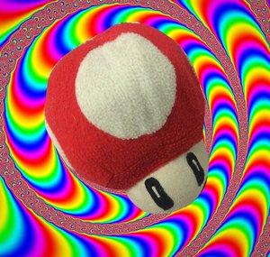 The fungus
