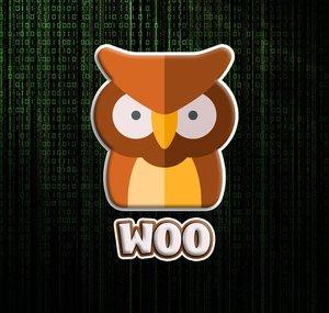 WOO Games