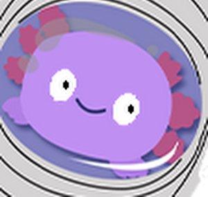 Beanbon2