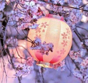 Blossoming Willow