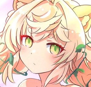 Daisy Dandelion ASMR