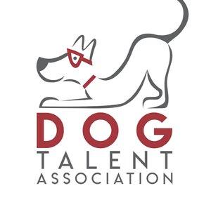 Dog Talent Association