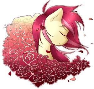 Flower Mare Enjoyer
