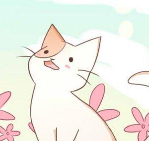 fubbi chorus