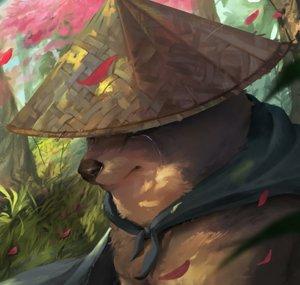 Leinad