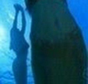 MermaidDolphinDiver