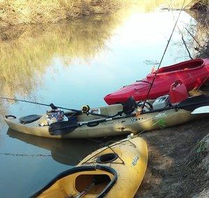 Reel Adventures