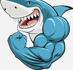 SharkFinnnn