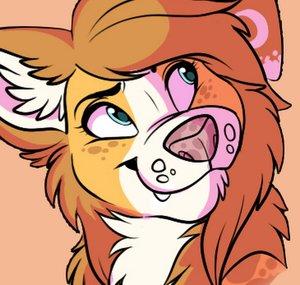 StarxHusky