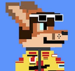SunnerPlays