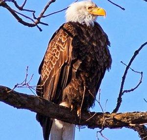 Basicbill's Outdoor and Travel Channel