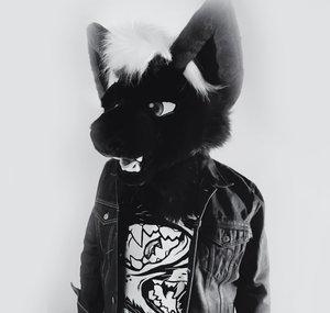 Dima Foxpaws