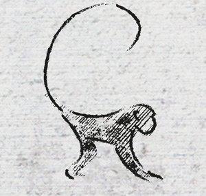 Ido Portal