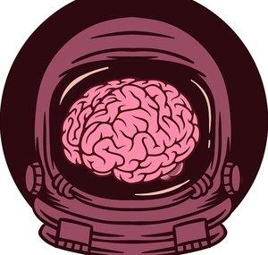 KLT Anatomy