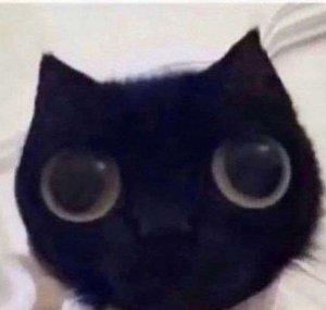 mewity!