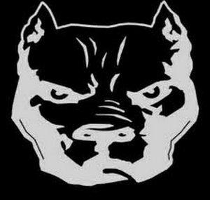 Pit Bullion