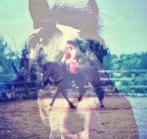 RidgewayStables
