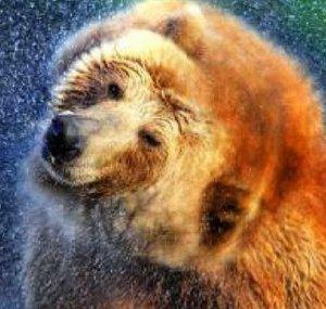 Rob Barron / BearRon