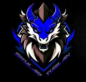SkyJin VA