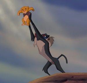 FatSimba