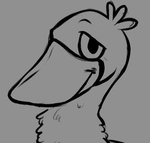 Flock Nest