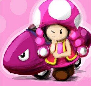 Toadette Hack Fan