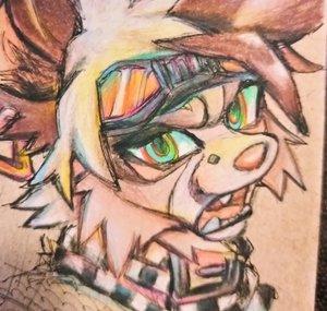 Aricat