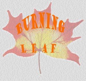 Burning Leaf