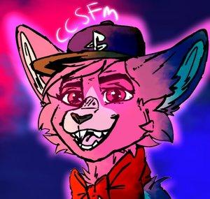CCSFM