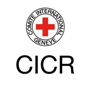 CICR en Español