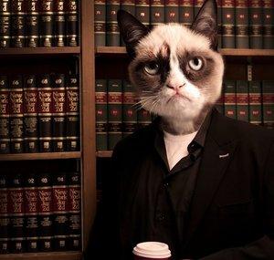 CommieCat
