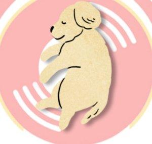 HealingMate - Dog Music
