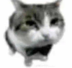 Kiros