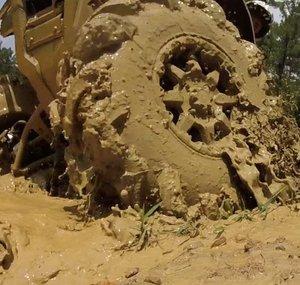 Mud Puppy (MudPuppy)