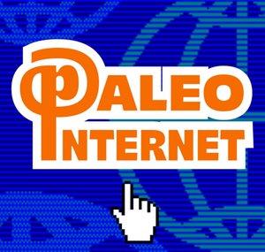 Paleointernet