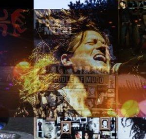 Puddle Of Mudd Fans
