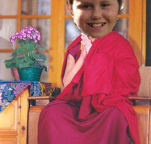 senatorgreenday