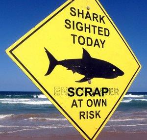 Shark Scrapper