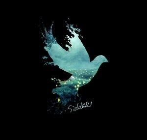 SizzleBird