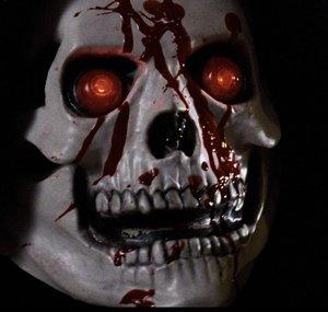 Slaughterport