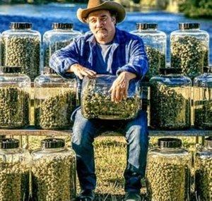 ™GROWING BELUSHI