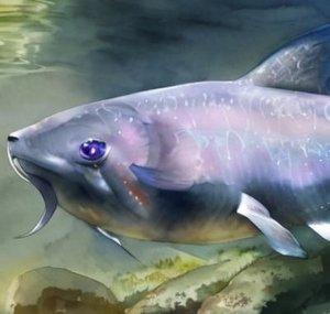 TrippyCatfish
