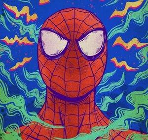Universo Aracnídeo
