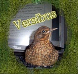 Versibus