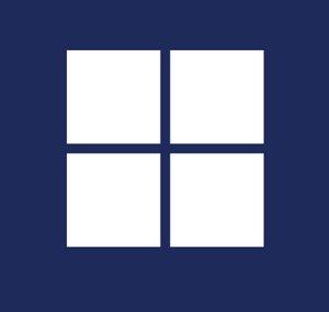 Windows Developer