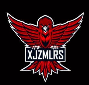 XJZ-MLRS