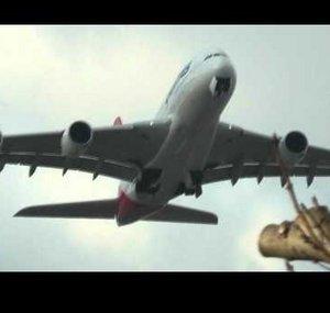 Cabincrewifly